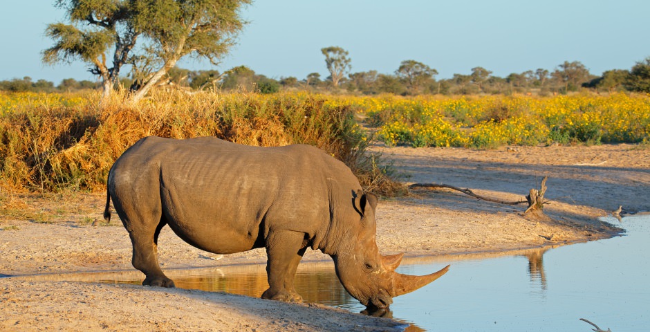 Klimaat Zuid Afrika Safari Planner Com