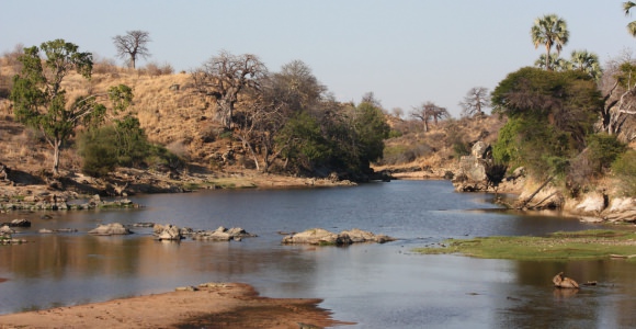Ruaha National Park