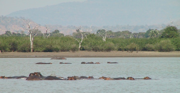 Selous Game Reserve