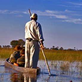 Boot safari in Botswana